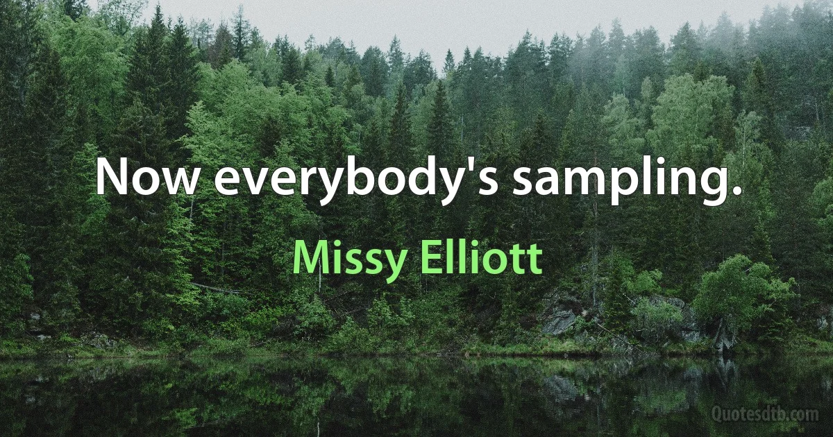 Now everybody's sampling. (Missy Elliott)