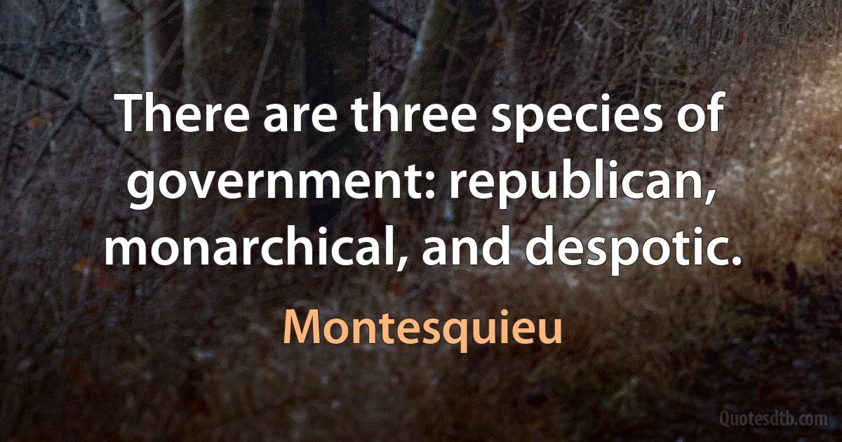 There are three species of government: republican, monarchical, and despotic. (Montesquieu)