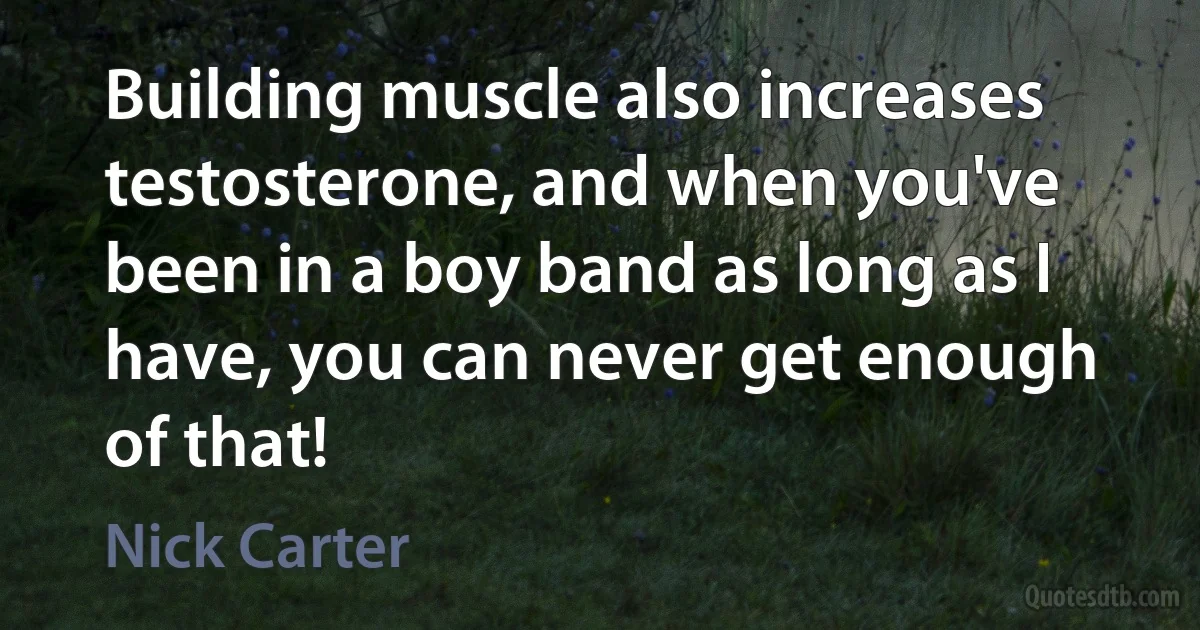 Building muscle also increases testosterone, and when you've been in a boy band as long as I have, you can never get enough of that! (Nick Carter)