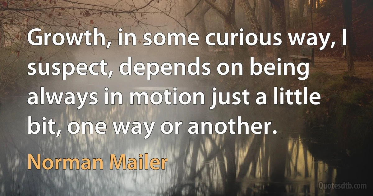 Growth, in some curious way, I suspect, depends on being always in motion just a little bit, one way or another. (Norman Mailer)