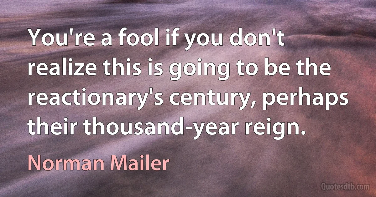 You're a fool if you don't realize this is going to be the reactionary's century, perhaps their thousand-year reign. (Norman Mailer)