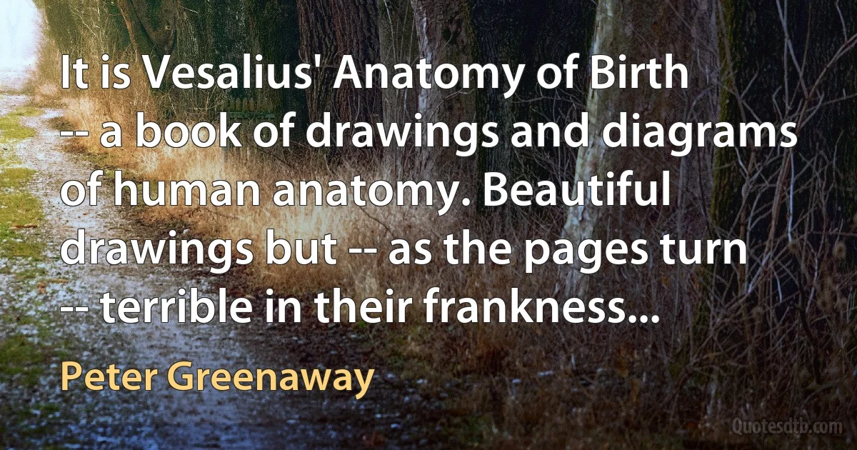 It is Vesalius' Anatomy of Birth -- a book of drawings and diagrams of human anatomy. Beautiful drawings but -- as the pages turn -- terrible in their frankness... (Peter Greenaway)