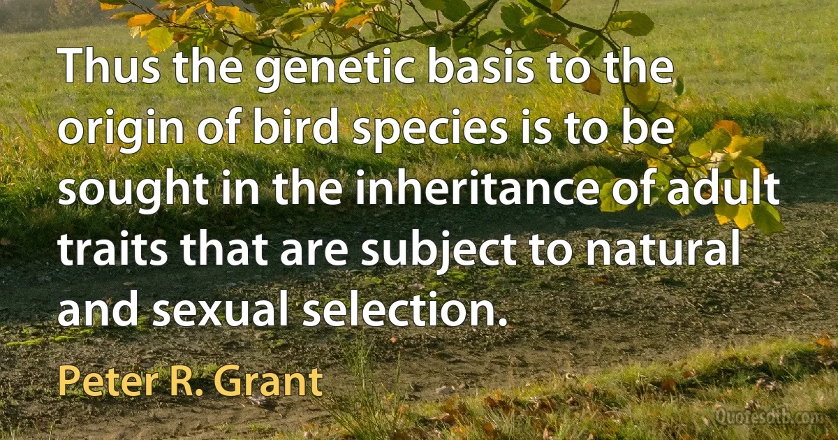 Thus the genetic basis to the origin of bird species is to be sought in the inheritance of adult traits that are subject to natural and sexual selection. (Peter R. Grant)