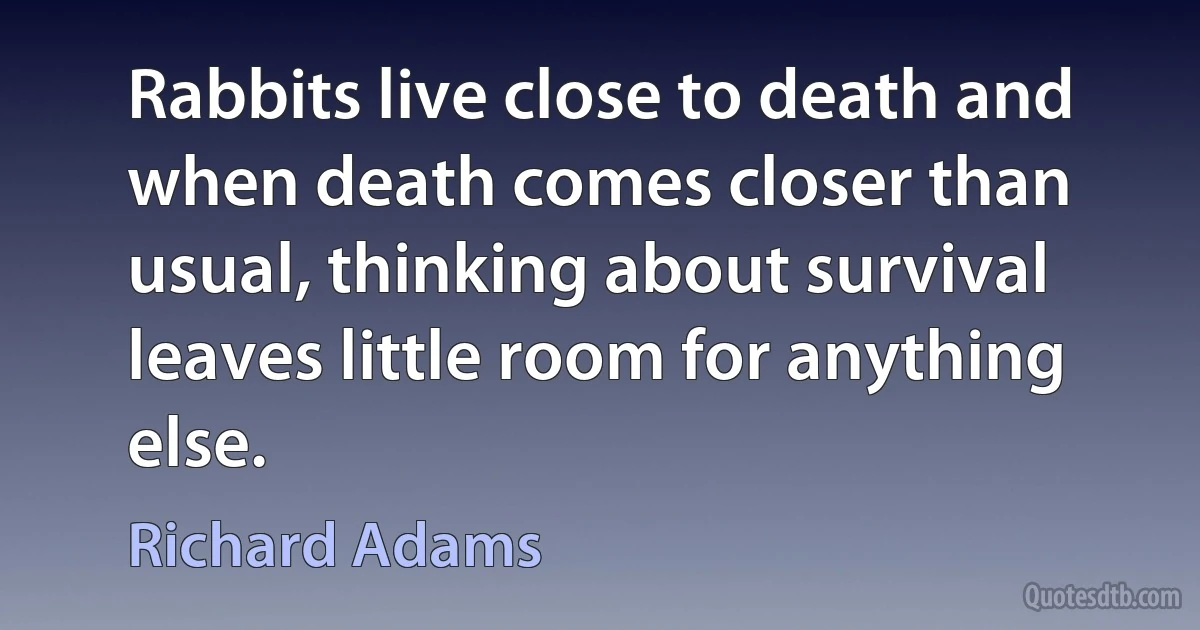 Rabbits live close to death and when death comes closer than usual, thinking about survival leaves little room for anything else. (Richard Adams)