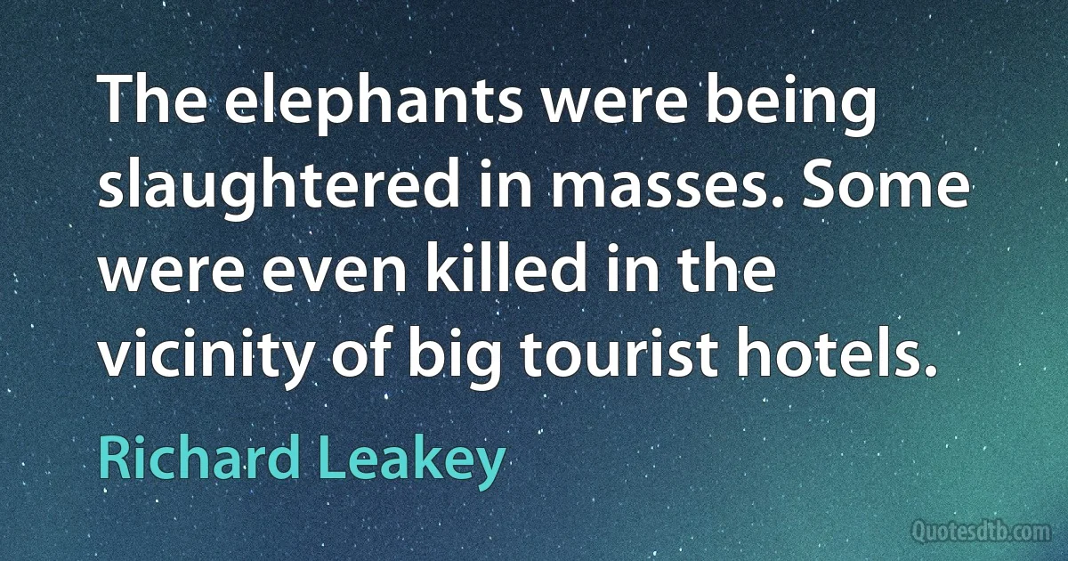 The elephants were being slaughtered in masses. Some were even killed in the vicinity of big tourist hotels. (Richard Leakey)