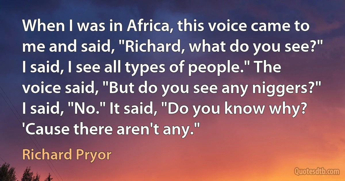 When I was in Africa, this voice came to me and said, "Richard, what do you see?" I said, I see all types of people." The voice said, "But do you see any niggers?" I said, "No." It said, "Do you know why? 'Cause there aren't any." (Richard Pryor)