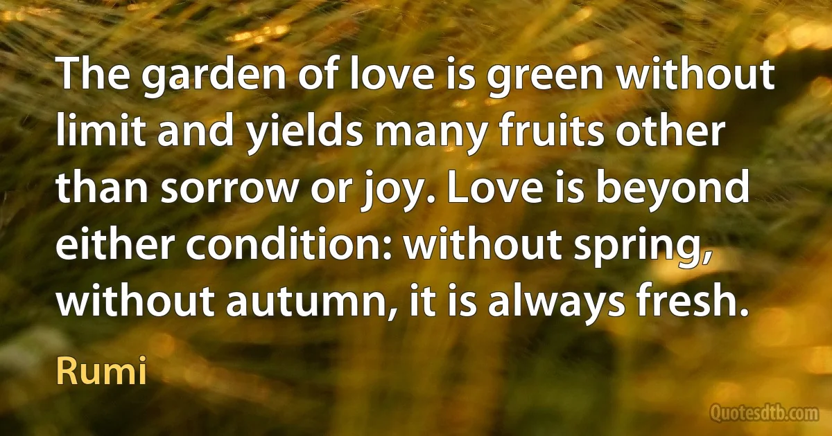 The garden of love is green without limit and yields many fruits other than sorrow or joy. Love is beyond either condition: without spring, without autumn, it is always fresh. (Rumi)