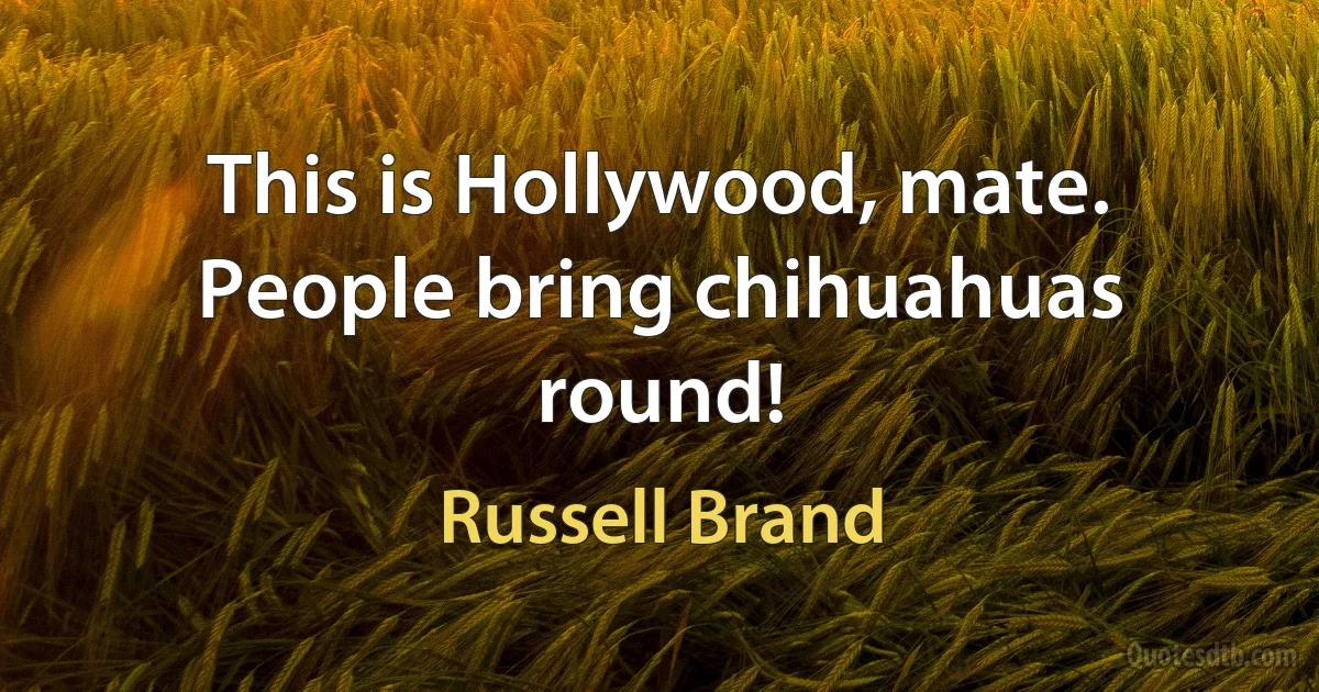 This is Hollywood, mate. People bring chihuahuas round! (Russell Brand)