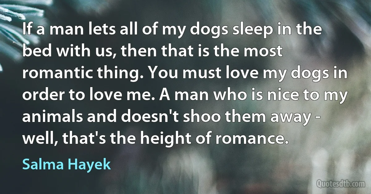 If a man lets all of my dogs sleep in the bed with us, then that is the most romantic thing. You must love my dogs in order to love me. A man who is nice to my animals and doesn't shoo them away - well, that's the height of romance. (Salma Hayek)