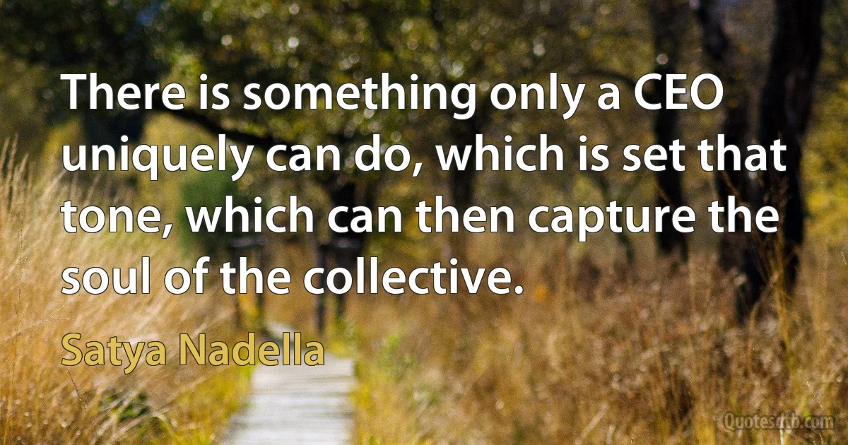 There is something only a CEO uniquely can do, which is set that tone, which can then capture the soul of the collective. (Satya Nadella)