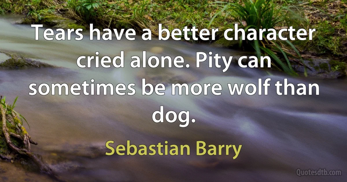 Tears have a better character cried alone. Pity can sometimes be more wolf than dog. (Sebastian Barry)