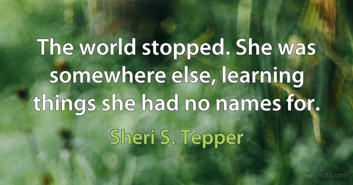 The world stopped. She was somewhere else, learning things she had no names for. (Sheri S. Tepper)