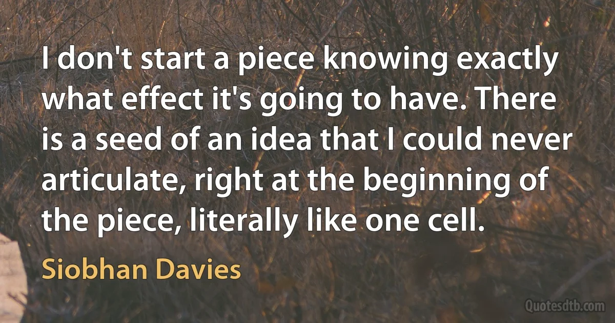 I don't start a piece knowing exactly what effect it's going to have. There is a seed of an idea that I could never articulate, right at the beginning of the piece, literally like one cell. (Siobhan Davies)