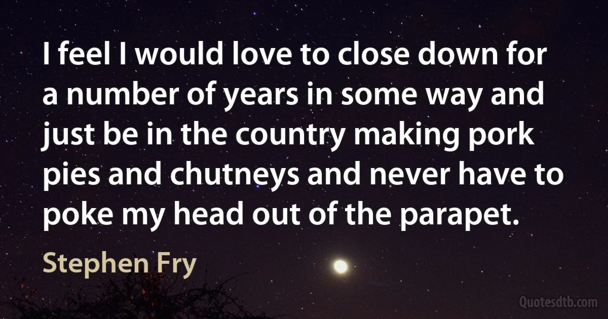 I feel I would love to close down for a number of years in some way and just be in the country making pork pies and chutneys and never have to poke my head out of the parapet. (Stephen Fry)