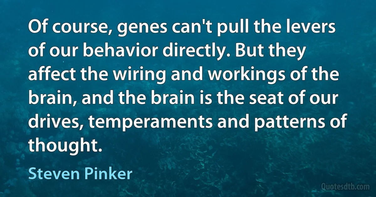 Of course, genes can't pull the levers of our behavior directly. But they affect the wiring and workings of the brain, and the brain is the seat of our drives, temperaments and patterns of thought. (Steven Pinker)