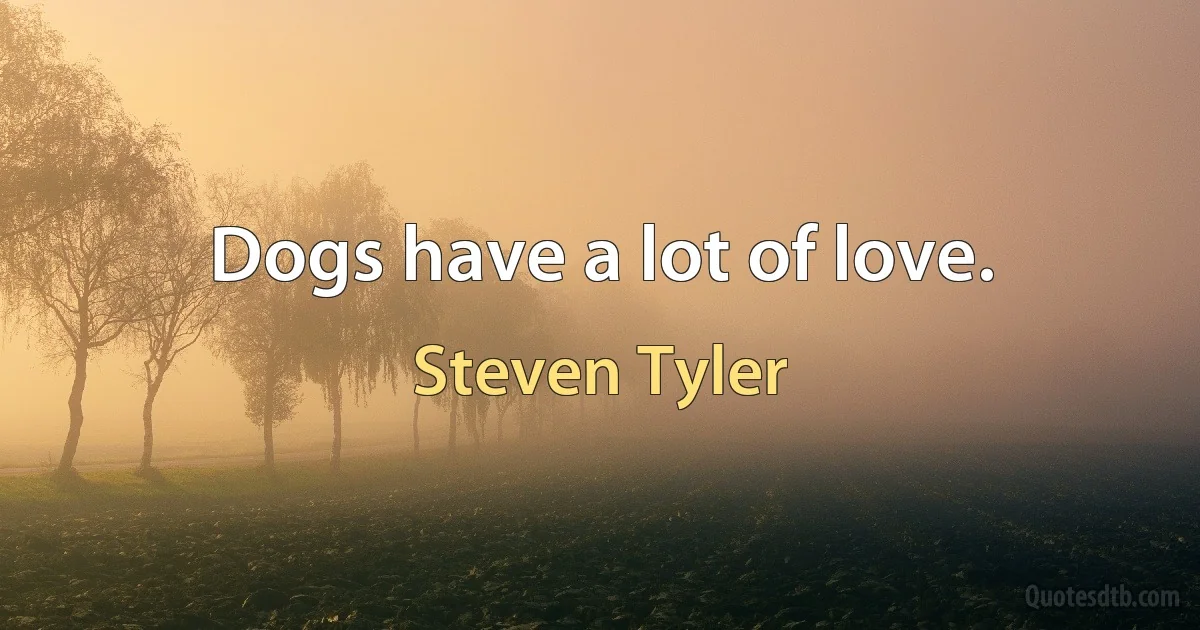 Dogs have a lot of love. (Steven Tyler)