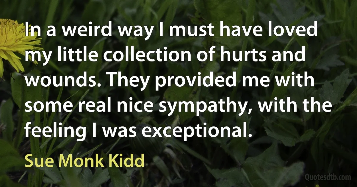 In a weird way I must have loved my little collection of hurts and wounds. They provided me with some real nice sympathy, with the feeling I was exceptional. (Sue Monk Kidd)