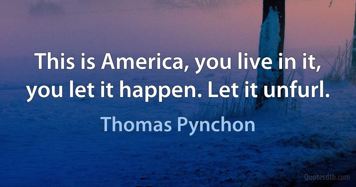 This is America, you live in it, you let it happen. Let it unfurl. (Thomas Pynchon)