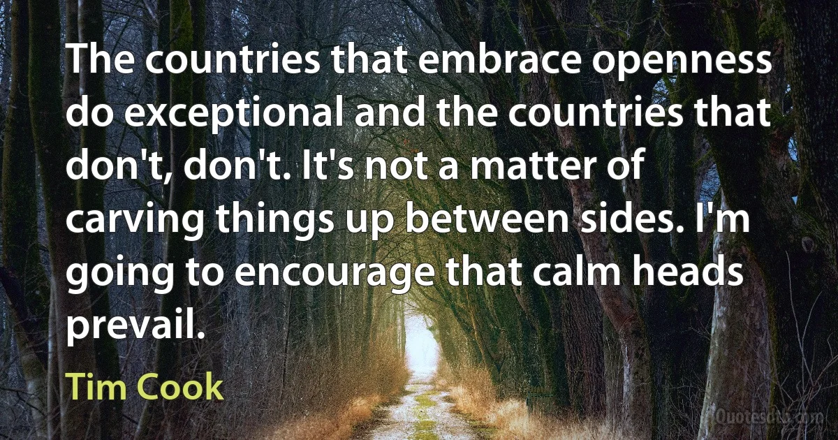 The countries that embrace openness do exceptional and the countries that don't, don't. It's not a matter of carving things up between sides. I'm going to encourage that calm heads prevail. (Tim Cook)