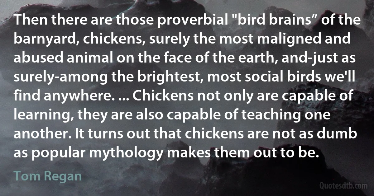 Then there are those proverbial "bird brains” of the barnyard, chickens, surely the most maligned and abused animal on the face of the earth, and-just as surely-among the brightest, most social birds we'll find anywhere. ... Chickens not only are capable of learning, they are also capable of teaching one another. It turns out that chickens are not as dumb as popular mythology makes them out to be. (Tom Regan)