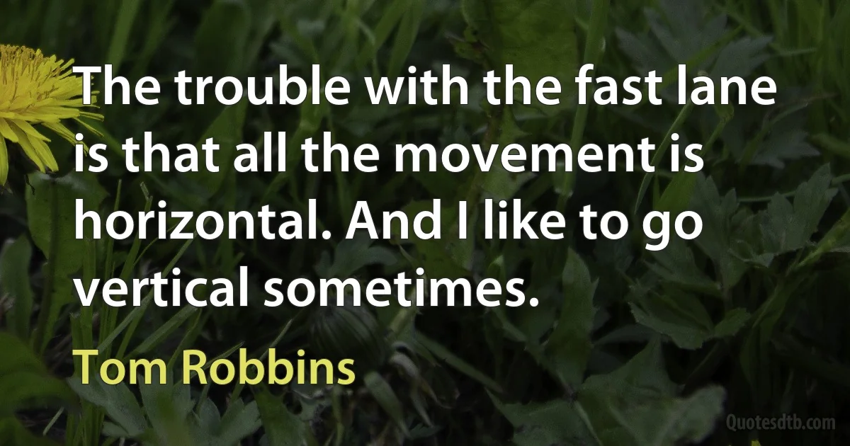 The trouble with the fast lane is that all the movement is horizontal. And I like to go vertical sometimes. (Tom Robbins)