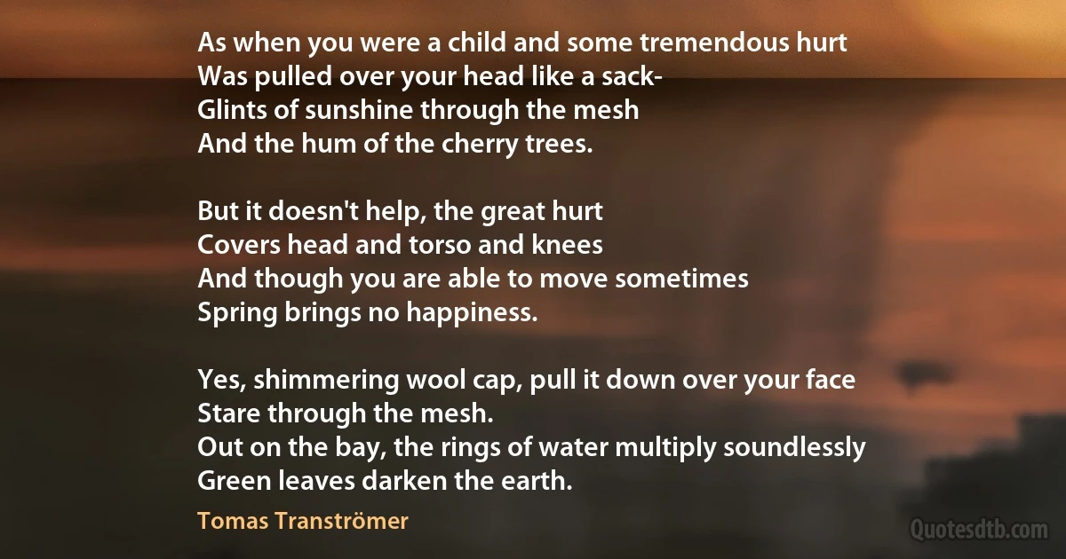 As when you were a child and some tremendous hurt
Was pulled over your head like a sack-
Glints of sunshine through the mesh
And the hum of the cherry trees.

But it doesn't help, the great hurt
Covers head and torso and knees
And though you are able to move sometimes
Spring brings no happiness.

Yes, shimmering wool cap, pull it down over your face
Stare through the mesh.
Out on the bay, the rings of water multiply soundlessly
Green leaves darken the earth. (Tomas Tranströmer)