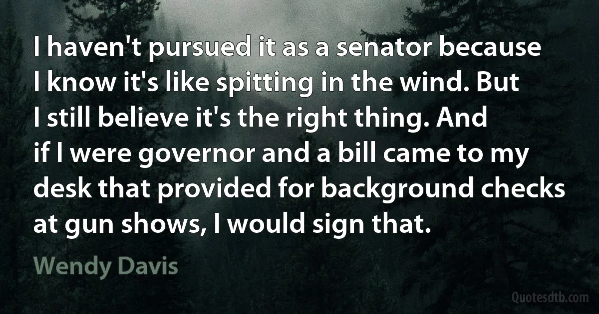 I haven't pursued it as a senator because I know it's like spitting in the wind. But I still believe it's the right thing. And if I were governor and a bill came to my desk that provided for background checks at gun shows, I would sign that. (Wendy Davis)