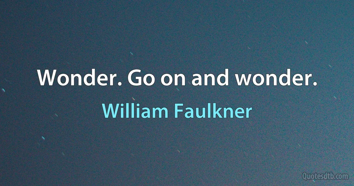 Wonder. Go on and wonder. (William Faulkner)