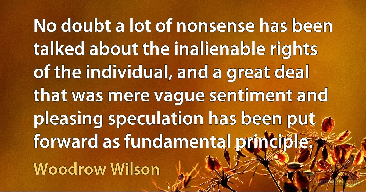 No doubt a lot of nonsense has been talked about the inalienable rights of the individual, and a great deal that was mere vague sentiment and pleasing speculation has been put forward as fundamental principle. (Woodrow Wilson)