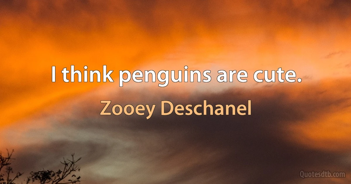 I think penguins are cute. (Zooey Deschanel)