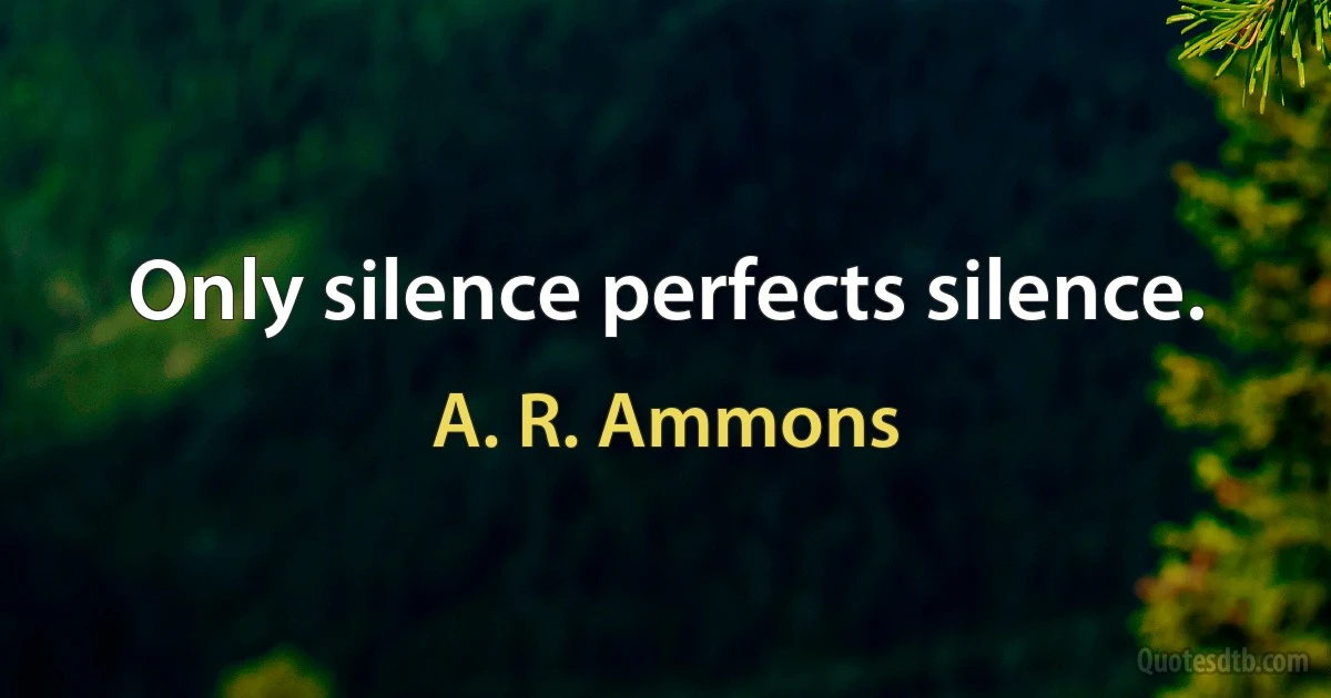 Only silence perfects silence. (A. R. Ammons)