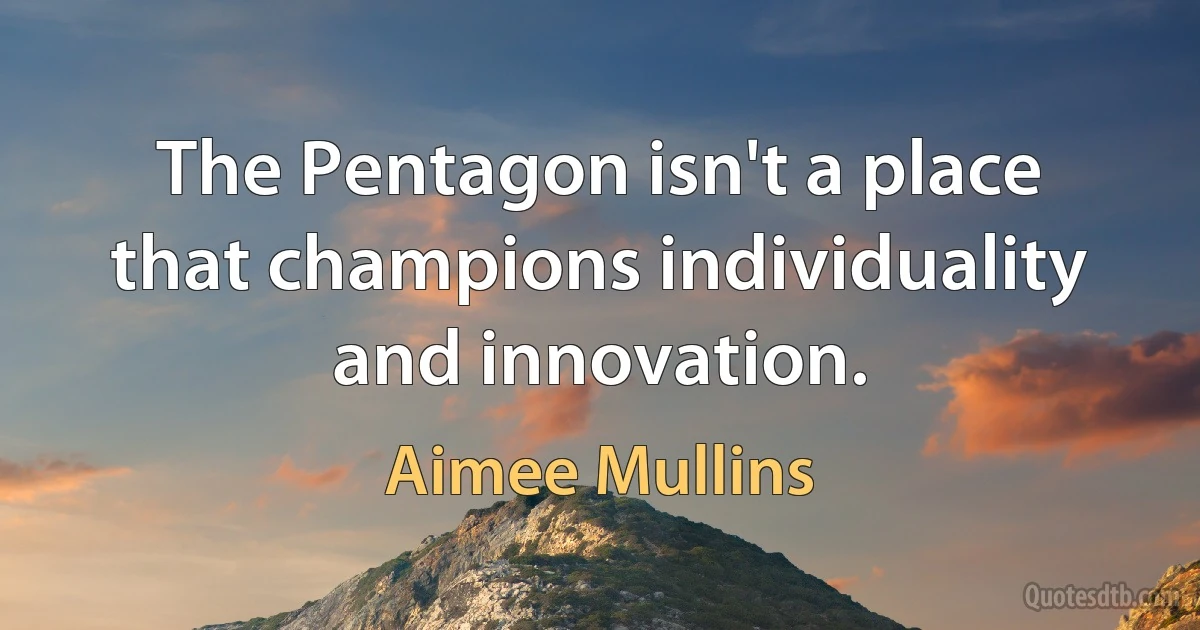 The Pentagon isn't a place that champions individuality and innovation. (Aimee Mullins)