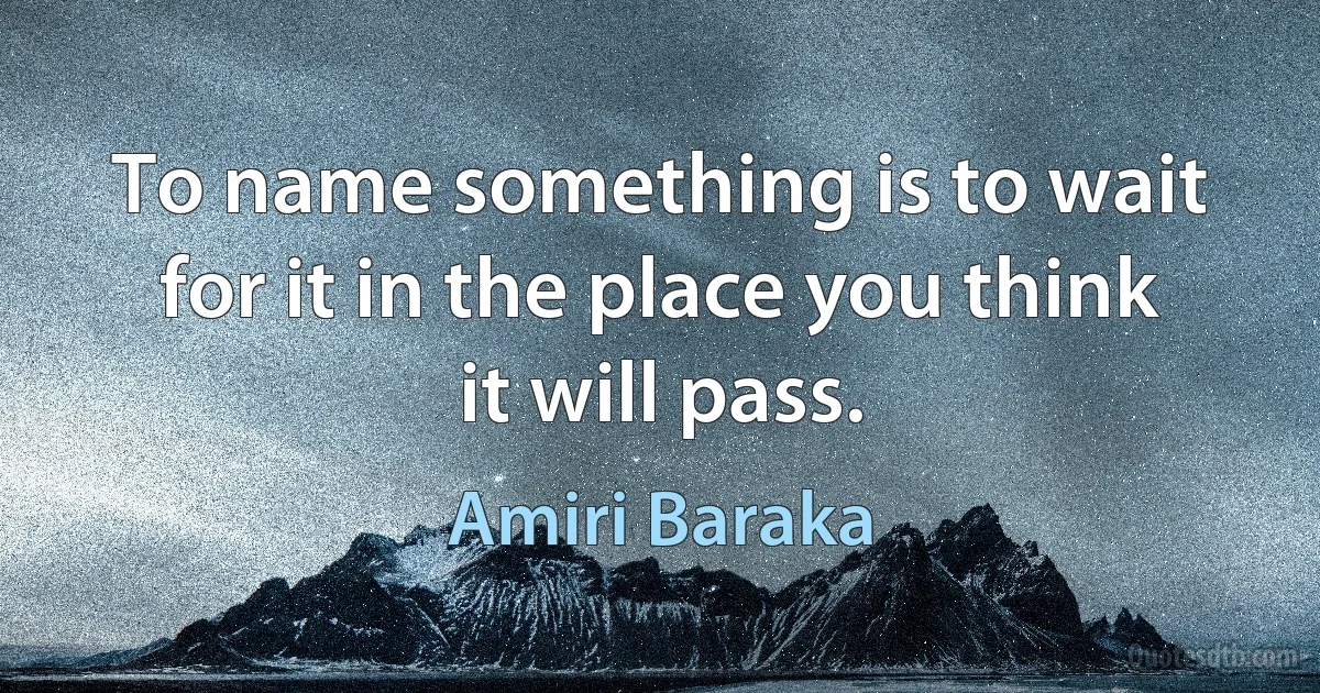 To name something is to wait for it in the place you think it will pass. (Amiri Baraka)