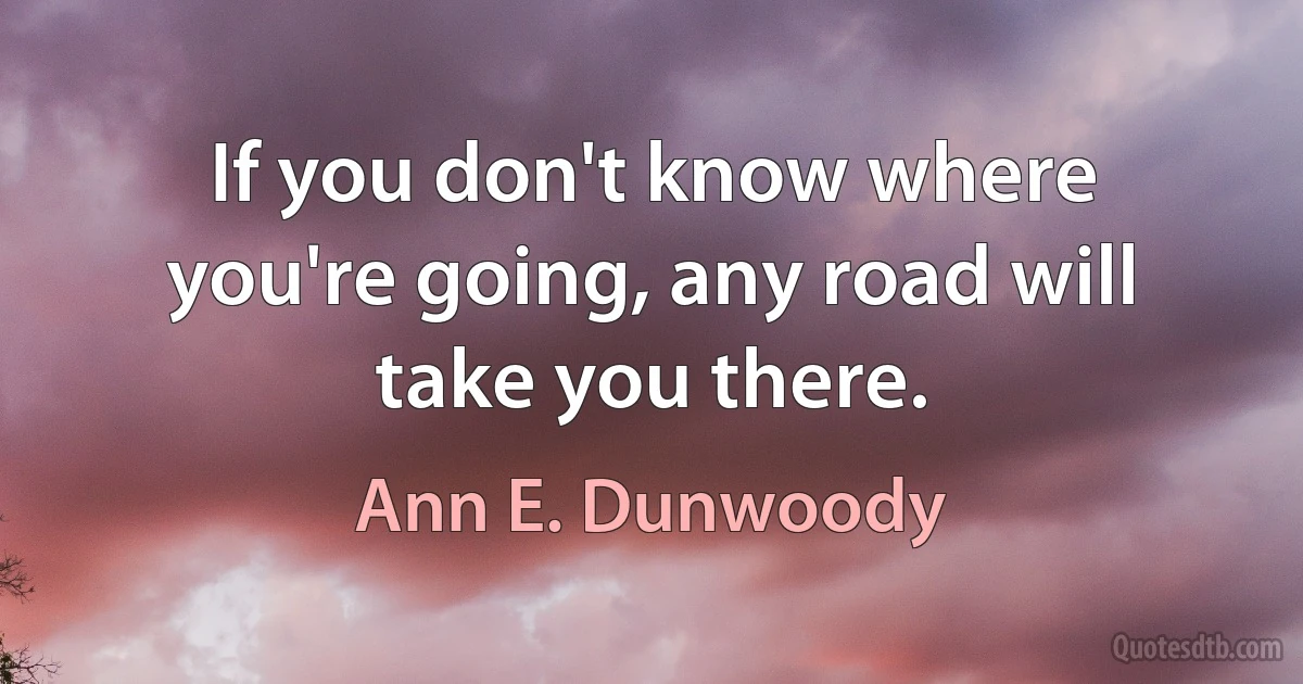 If you don't know where you're going, any road will take you there. (Ann E. Dunwoody)