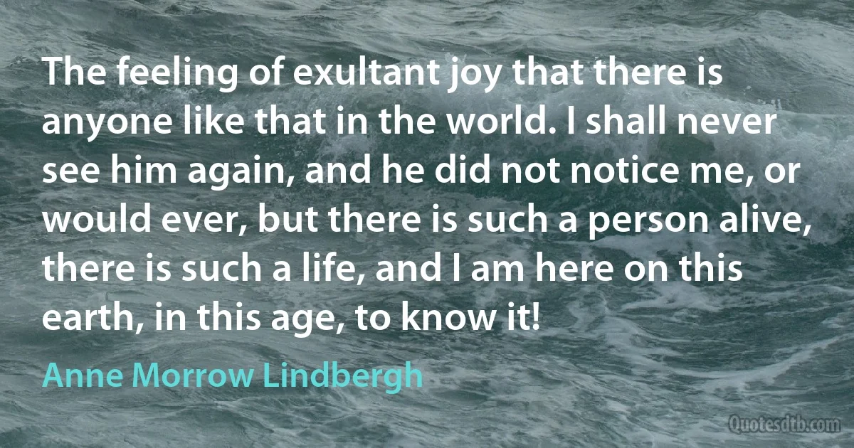 The feeling of exultant joy that there is anyone like that in the world. I shall never see him again, and he did not notice me, or would ever, but there is such a person alive, there is such a life, and I am here on this earth, in this age, to know it! (Anne Morrow Lindbergh)