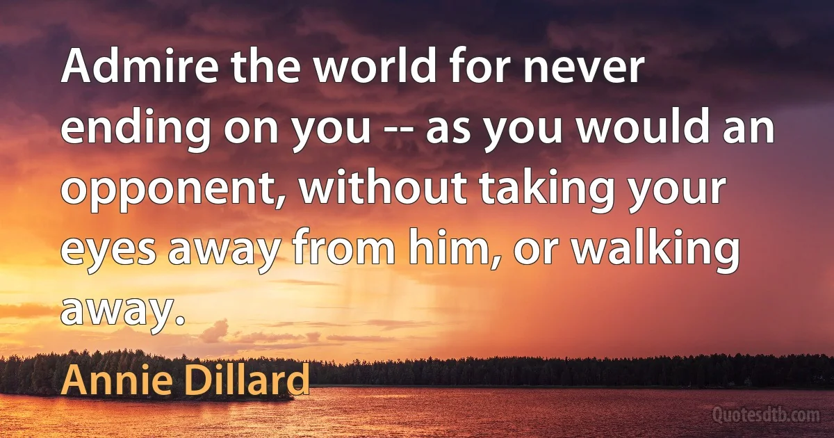 Admire the world for never ending on you -- as you would an opponent, without taking your eyes away from him, or walking away. (Annie Dillard)