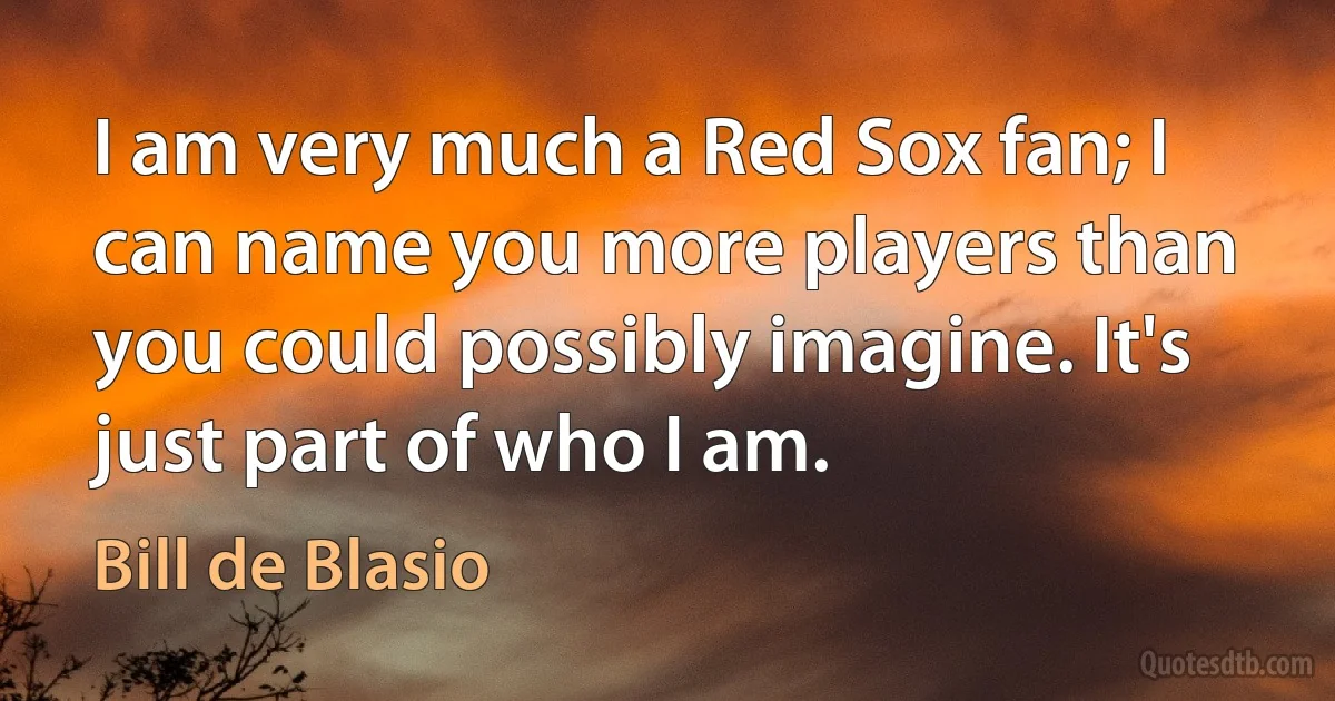 I am very much a Red Sox fan; I can name you more players than you could possibly imagine. It's just part of who I am. (Bill de Blasio)