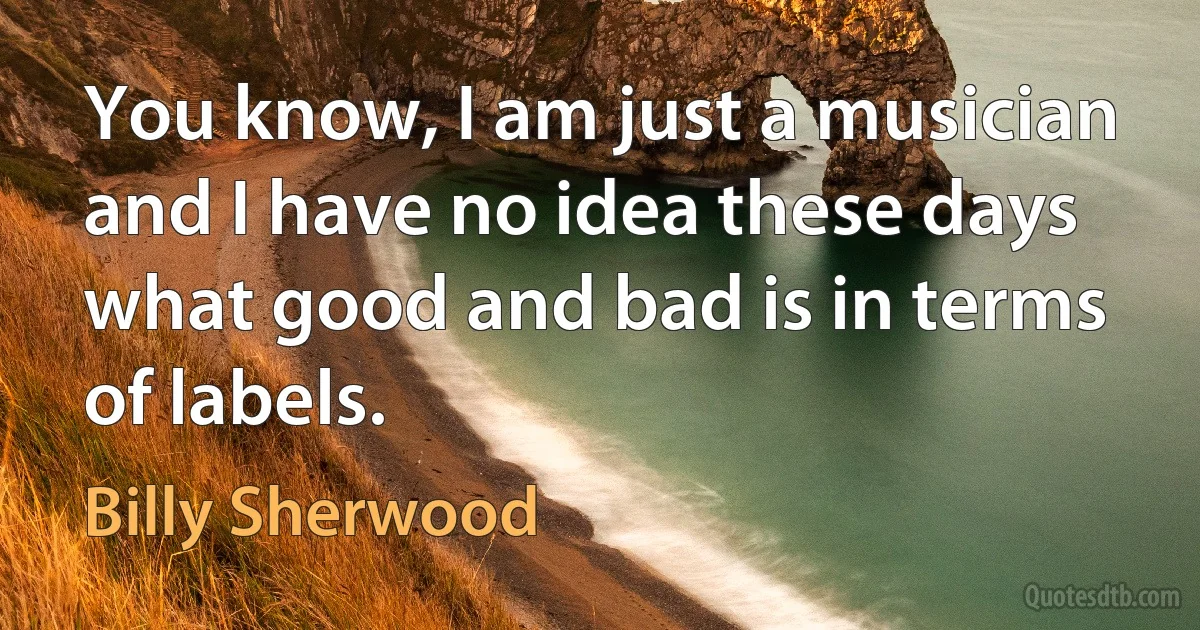 You know, I am just a musician and I have no idea these days what good and bad is in terms of labels. (Billy Sherwood)