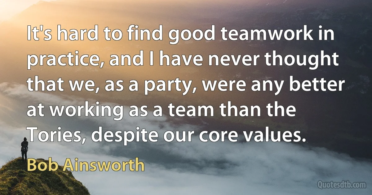 It's hard to find good teamwork in practice, and I have never thought that we, as a party, were any better at working as a team than the Tories, despite our core values. (Bob Ainsworth)