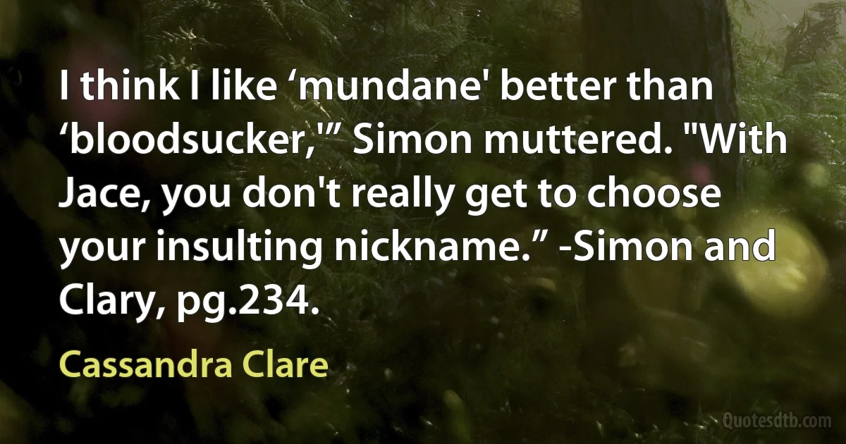 I think I like ‘mundane' better than ‘bloodsucker,'” Simon muttered. "With Jace, you don't really get to choose your insulting nickname.” -Simon and Clary, pg.234. (Cassandra Clare)