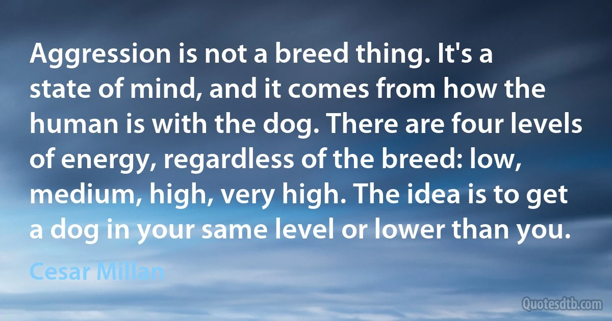 Aggression is not a breed thing. It's a state of mind, and it comes from how the human is with the dog. There are four levels of energy, regardless of the breed: low, medium, high, very high. The idea is to get a dog in your same level or lower than you. (Cesar Millan)