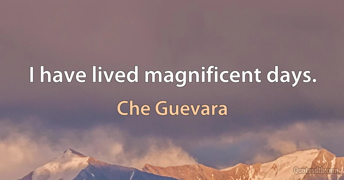 I have lived magnificent days. (Che Guevara)