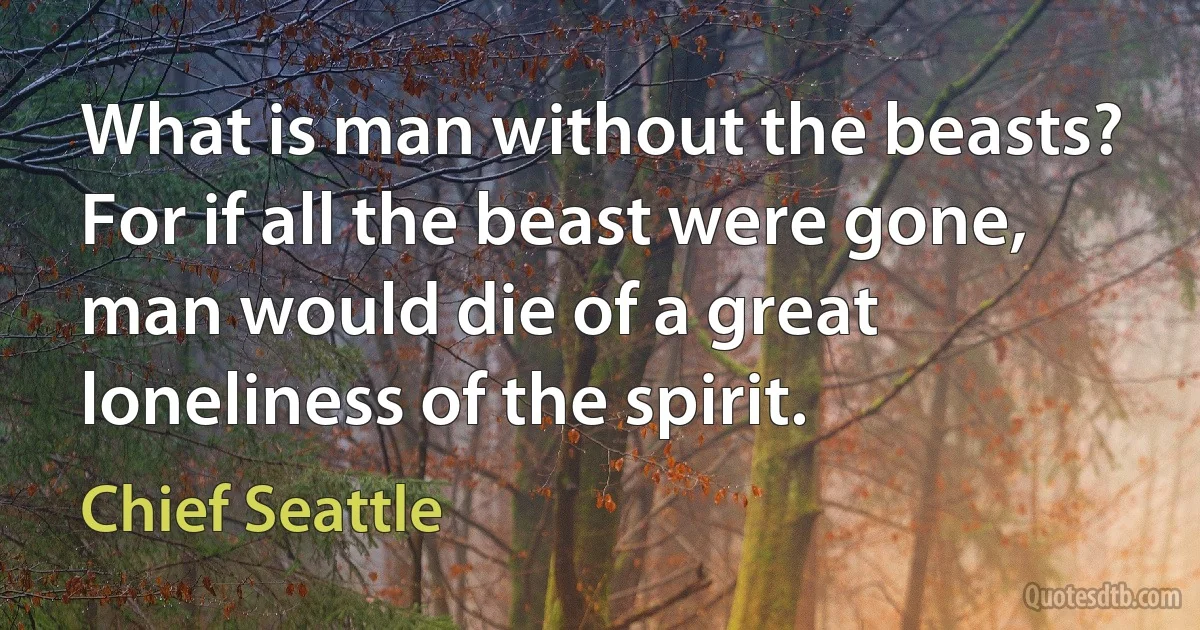 What is man without the beasts? For if all the beast were gone, man would die of a great loneliness of the spirit. (Chief Seattle)