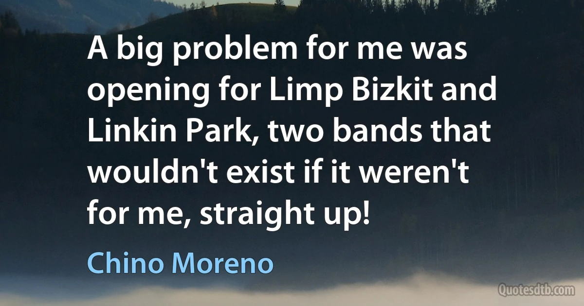 A big problem for me was opening for Limp Bizkit and Linkin Park, two bands that wouldn't exist if it weren't for me, straight up! (Chino Moreno)