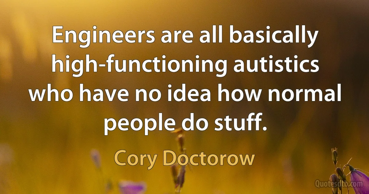 Engineers are all basically high-functioning autistics who have no idea how normal people do stuff. (Cory Doctorow)