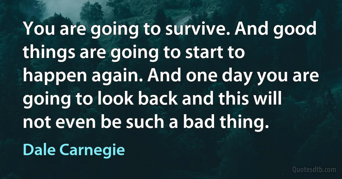 You are going to survive. And good things are going to start to happen again. And one day you are going to look back and this will not even be such a bad thing. (Dale Carnegie)