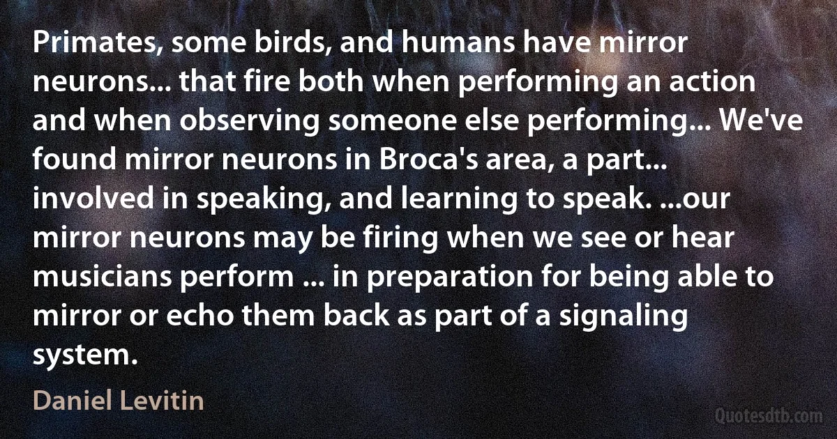 Primates, some birds, and humans have mirror neurons... that fire both when performing an action and when observing someone else performing... We've found mirror neurons in Broca's area, a part... involved in speaking, and learning to speak. ...our mirror neurons may be firing when we see or hear musicians perform ... in preparation for being able to mirror or echo them back as part of a signaling system. (Daniel Levitin)