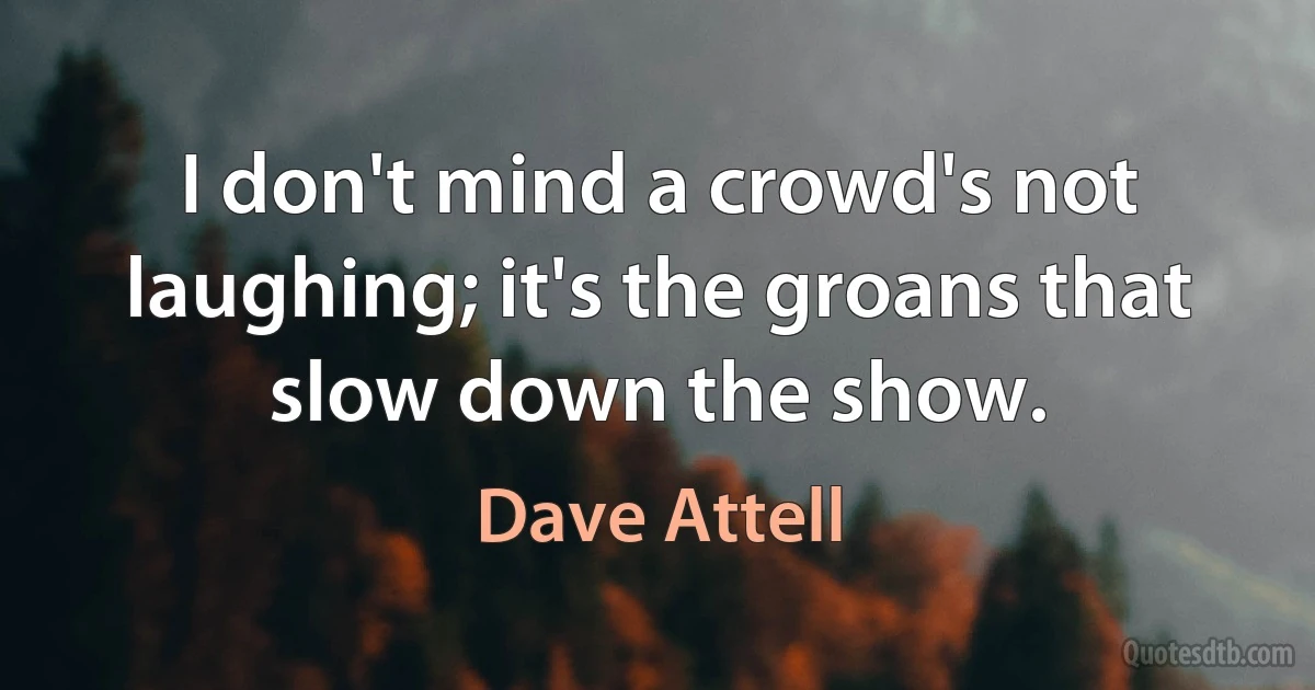 I don't mind a crowd's not laughing; it's the groans that slow down the show. (Dave Attell)