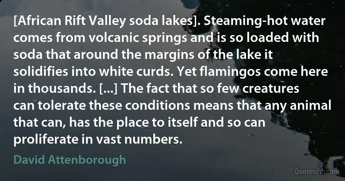 [African Rift Valley soda lakes]. Steaming-hot water comes from volcanic springs and is so loaded with soda that around the margins of the lake it solidifies into white curds. Yet flamingos come here in thousands. [...] The fact that so few creatures can tolerate these conditions means that any animal that can, has the place to itself and so can proliferate in vast numbers. (David Attenborough)