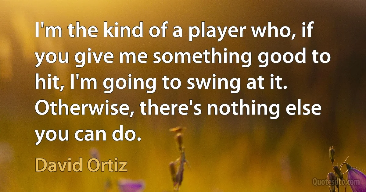 I'm the kind of a player who, if you give me something good to hit, I'm going to swing at it. Otherwise, there's nothing else you can do. (David Ortiz)